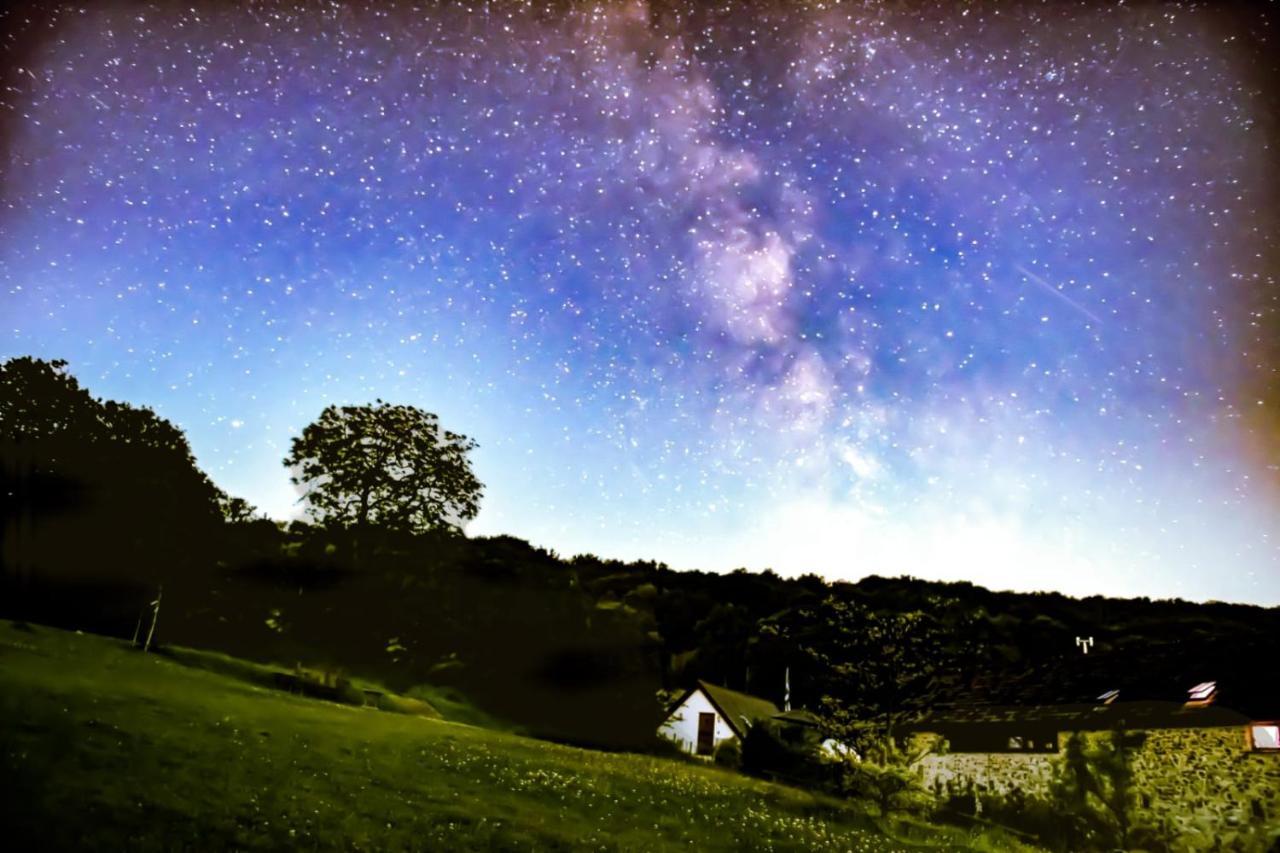 Appartamento The Roost - A Bird'S Eye View In The Countryside Cullompton Esterno foto