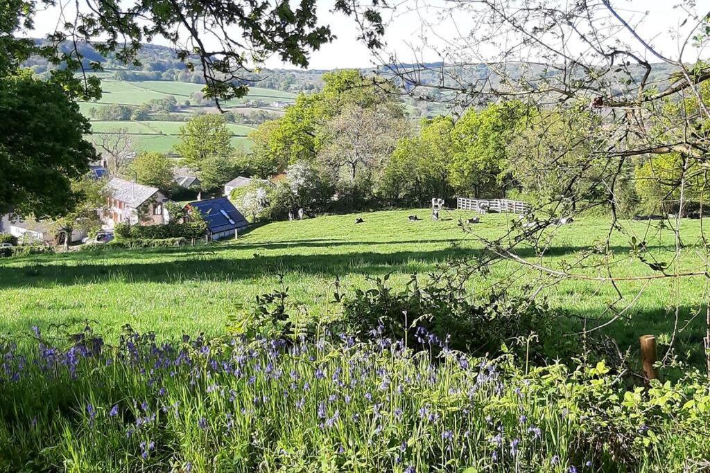 Appartamento The Roost - A Bird'S Eye View In The Countryside Cullompton Esterno foto