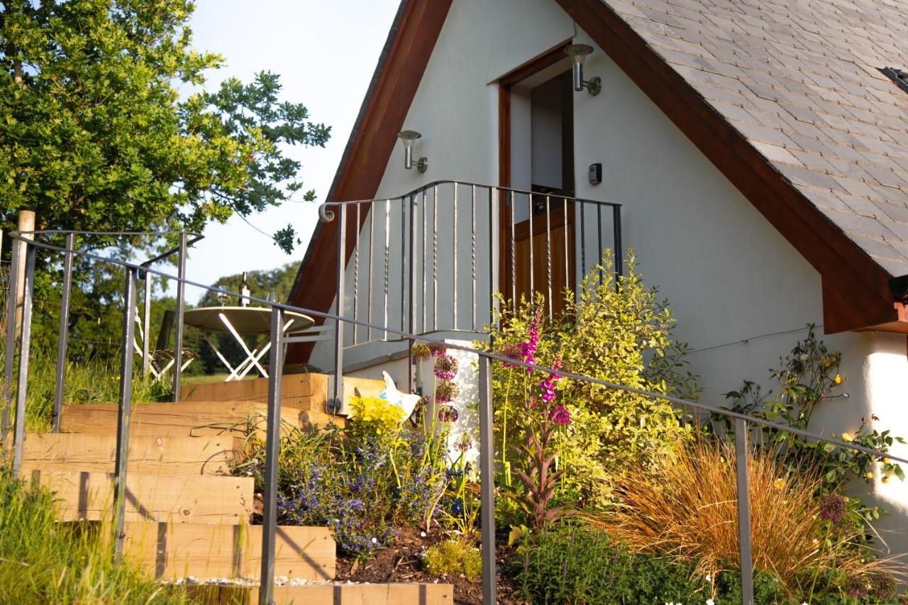Appartamento The Roost - A Bird'S Eye View In The Countryside Cullompton Esterno foto